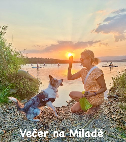Marcela- petsitter Ústí nad Labem nebo Páníček pro psi 