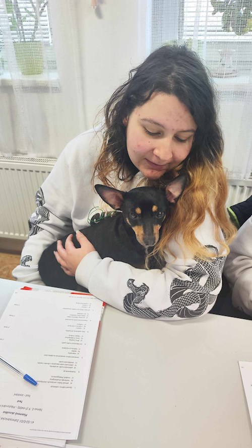 Tereza- petsitter Most nebo Páníček pro psi kočky