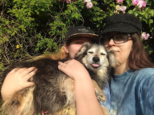 Tereza- petsitter Most nebo Páníček pro psi kočky