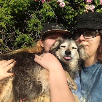 thumbnail petsitter Most nebo páníček pro psi kočky