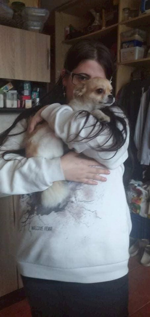 Tereza- petsitter Most nebo Páníček pro psi kočky