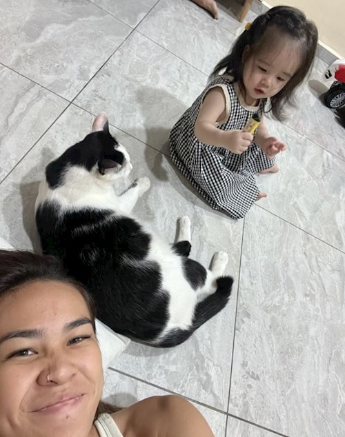 Sharmin- petsitter Praha or Pet nanny for dogs cats