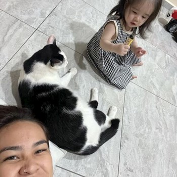 thumbnail petsitter Praha or pet nanny for dogs cats