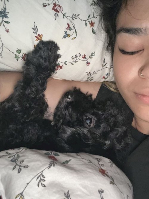 Sharmin- petsitter Praha or Pet nanny for dogs cats