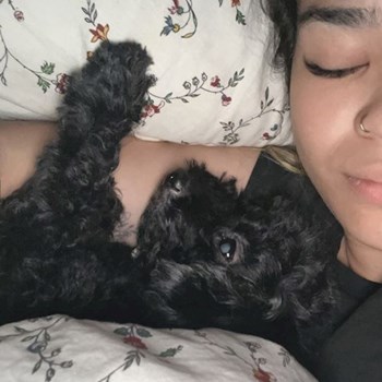 thumbnail petsitter Praha or pet nanny for dogs cats