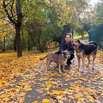 thumbnail petsitter 15000 nebo páníček pro psi kočky