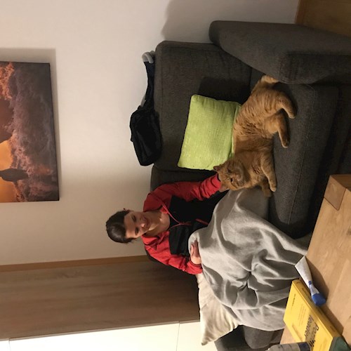 Jana- petsitter Pod hotelem  or Pet nanny for cats