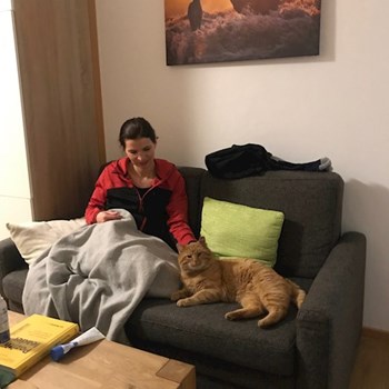 thumbnail petsitter Pod hotelem  or pet nanny for cats