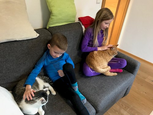 Jana- petsitter Pod hotelem  or Pet nanny for cats