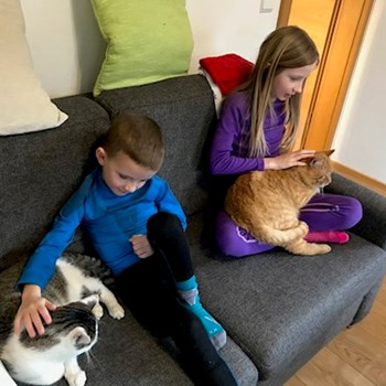 thumbnail petsitter Pod hotelem  or pet nanny for cats