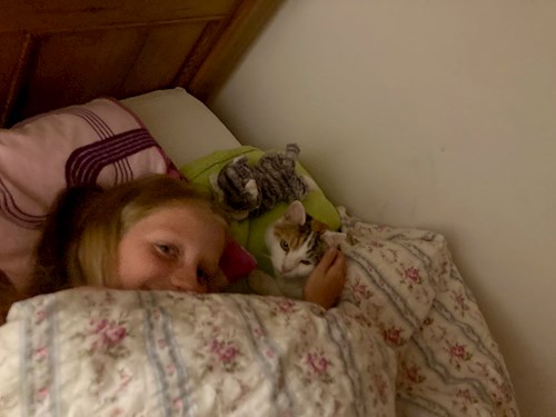 Jana- petsitter Pod hotelem  or Pet nanny for cats