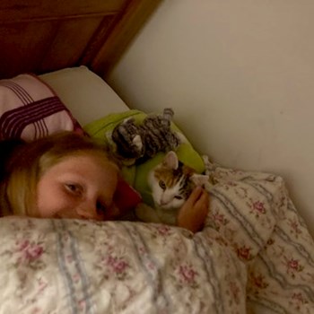 thumbnail petsitter Pod hotelem  or pet nanny for cats