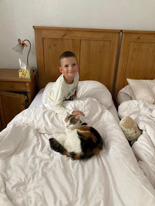 Jana- petsitter Pod hotelem  or Pet nanny for cats