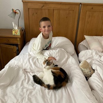 thumbnail petsitter Pod hotelem  or pet nanny for cats