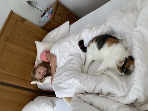 Jana- petsitter Pod hotelem  or Pet nanny for cats