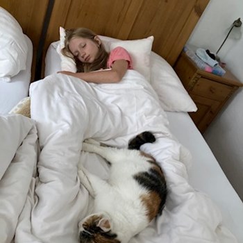 thumbnail petsitter Pod hotelem  or pet nanny for cats