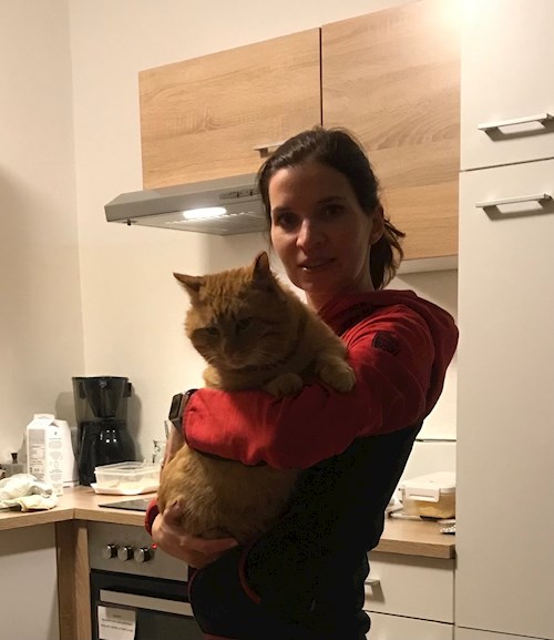 Jana- petsitter Pod hotelem  or Pet nanny for cats