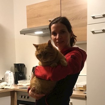 thumbnail petsitter Pod hotelem  or pet nanny for cats