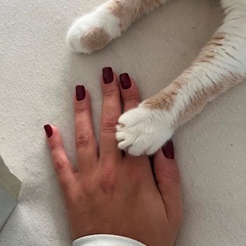 thumbnail petsitter Praha or pet nanny for cats