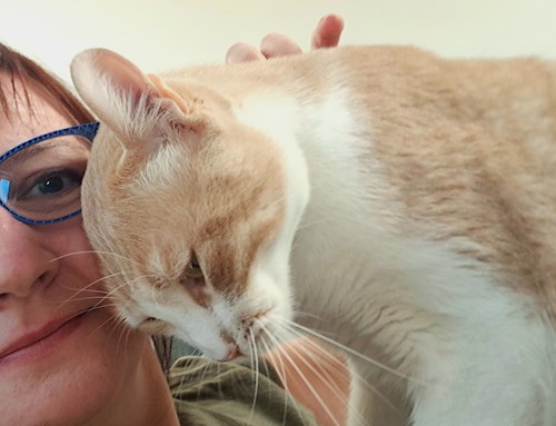 Jana- petsitter Praha 8 nebo Páníček pro psi kočky