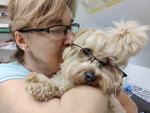 Mili- petsitter Osek or Pet nanny for dogs cats