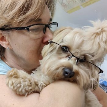 thumbnail petsitter Osek or pet nanny for dogs cats