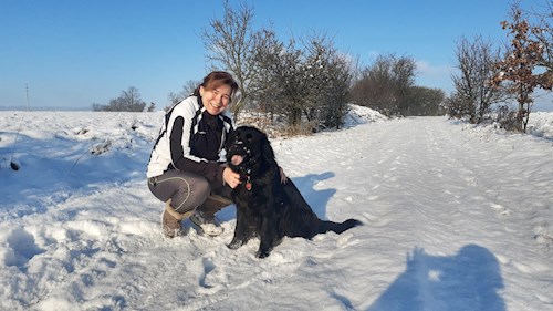 Mili- petsitter Osek or Pet nanny for dogs cats