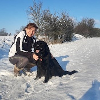 thumbnail petsitter Osek or pet nanny for dogs cats