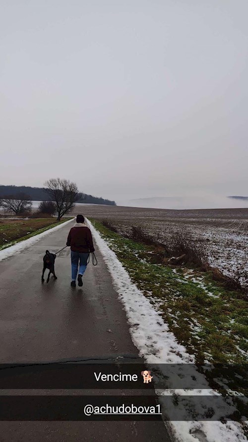 Anna- petsitter Brno nebo Páníček pro psi kočky