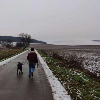 thumbnail petsitter Brno nebo páníček pro psi kočky