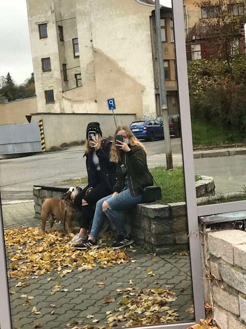 Anna- petsitter Brno nebo Páníček pro psi kočky