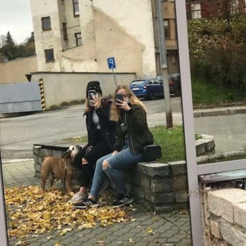 thumbnail petsitter Brno nebo páníček pro psi kočky