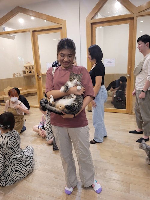 May- petsitter Praha or Pet nanny for dogs cats