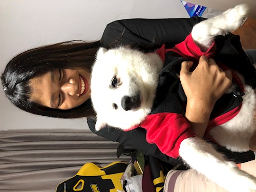 May- petsitter Praha or Pet nanny for dogs cats