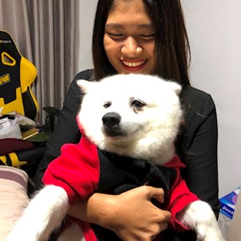 thumbnail petsitter Praha or pet nanny for dogs cats