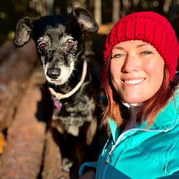 thumbnail petsitter Hradec Králové nebo páníček pro psi kočky