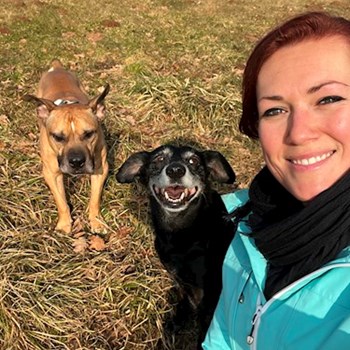 thumbnail petsitter Hradec Králové nebo páníček pro psi kočky