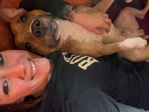 Martina- petsitter Hradec Králové nebo Páníček pro psi kočky