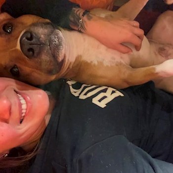 thumbnail petsitter Hradec Králové nebo páníček pro psi kočky