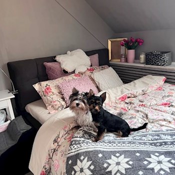 thumbnail petsitter Zdice nebo páníček pro psi kočky