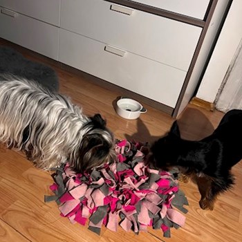 thumbnail petsitter Zdice nebo páníček pro psi kočky