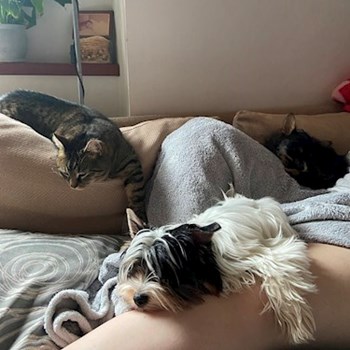 thumbnail petsitter Zdice nebo páníček pro psi kočky