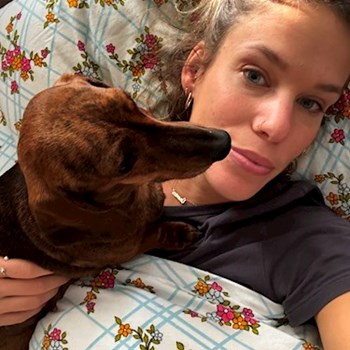 thumbnail petsitter Praha 2 or pet nanny for dogs