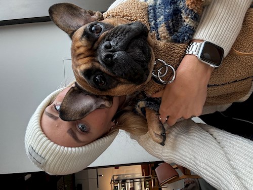 Veronika- petsitter Praha 2 or Pet nanny for dogs