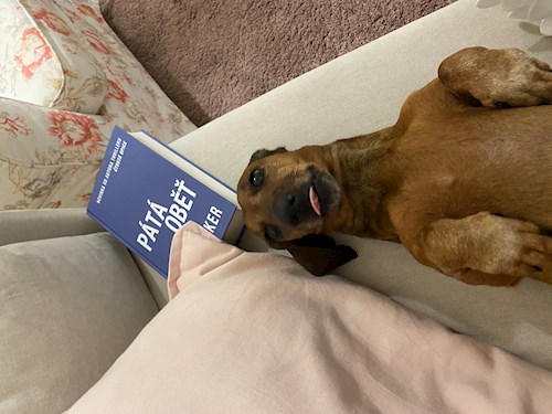 Veronika- petsitter Praha 2 or Pet nanny for dogs