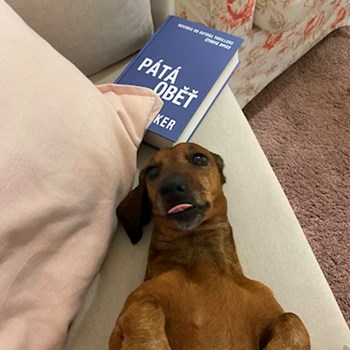 thumbnail petsitter Praha 2 or pet nanny for dogs