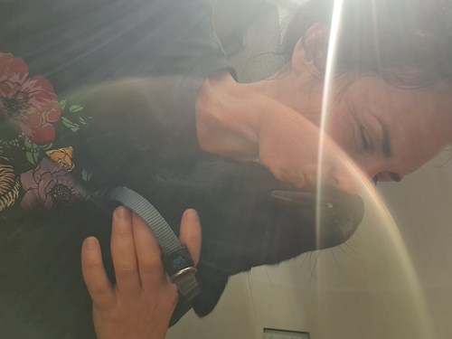 Petra- petsitter Opatovice or Pet nanny for dogs cats 