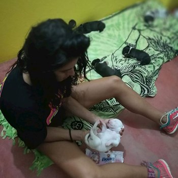 thumbnail petsitter Prague 7 or pet nanny for dogs cats