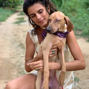 thumbnail petsitter Prague 7 or pet nanny for dogs cats