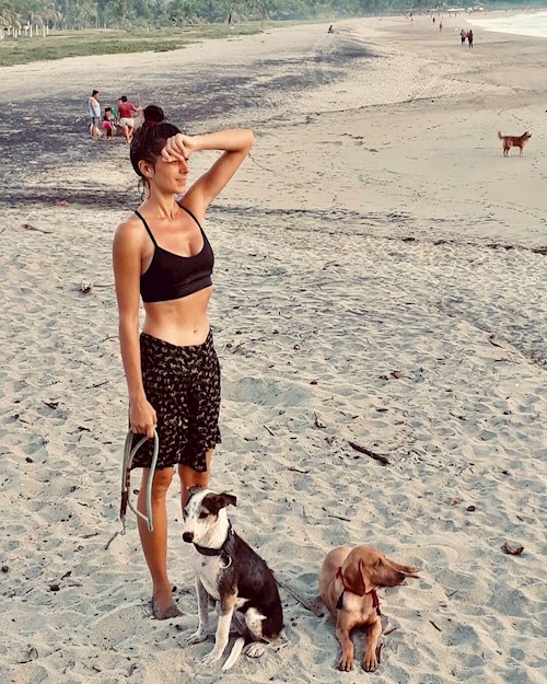 Jana- petsitter Prague 7 or Pet nanny for dogs cats